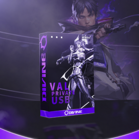 Valorant USB